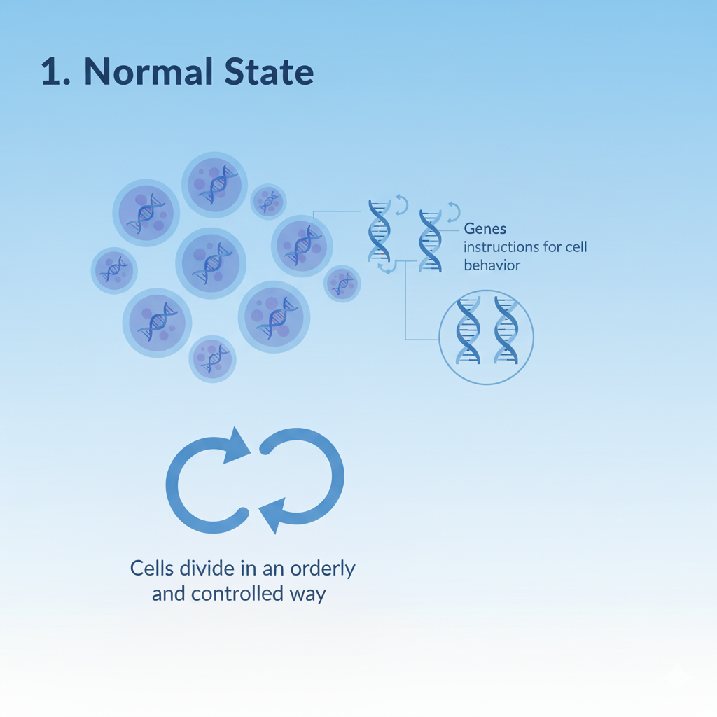 Normal Healthy Cells